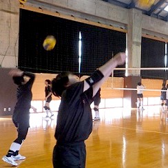 写真：バレーボール部